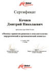 Сертификат Кочнев Дмитрий Николаевич